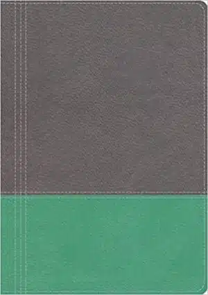 NKJV, The Modern Life Study Bible, Imitation Leather, Gray: God's Word for Our World (9781401679644)