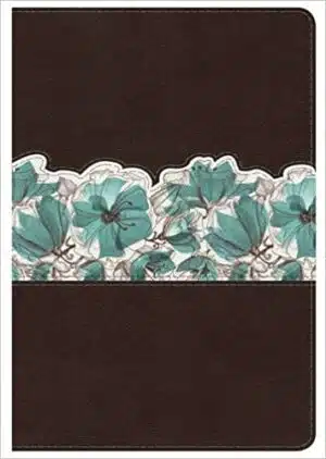 NKJV Study Bible Personal Size Espresso/Teal Leathertouch Indexed (9781433616235)