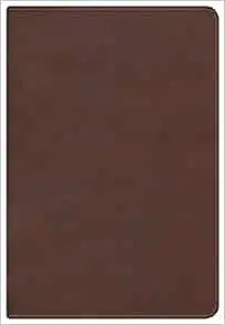 KJV Large Print Ultrathin Reference Bible, Chocolate/Brown LeatherTouch