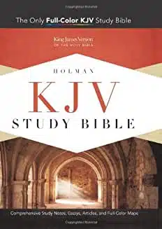 KJV Study Bible, Blue/Taupe LeatherTouch