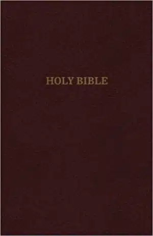 KJV, Thinline Reference Bible, Leather-Look, Burgundy, Red Letter Edition, Comfort Print
