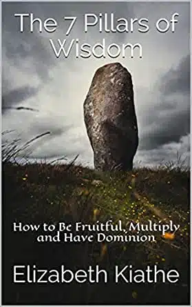 The 7 Pillars of Wisdom BY: ELIZABETH KIATHE