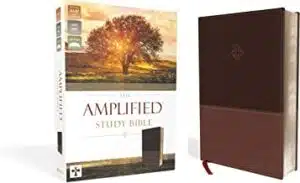The Amplified Study Bible, Leathersoft, Brown [Large Print]